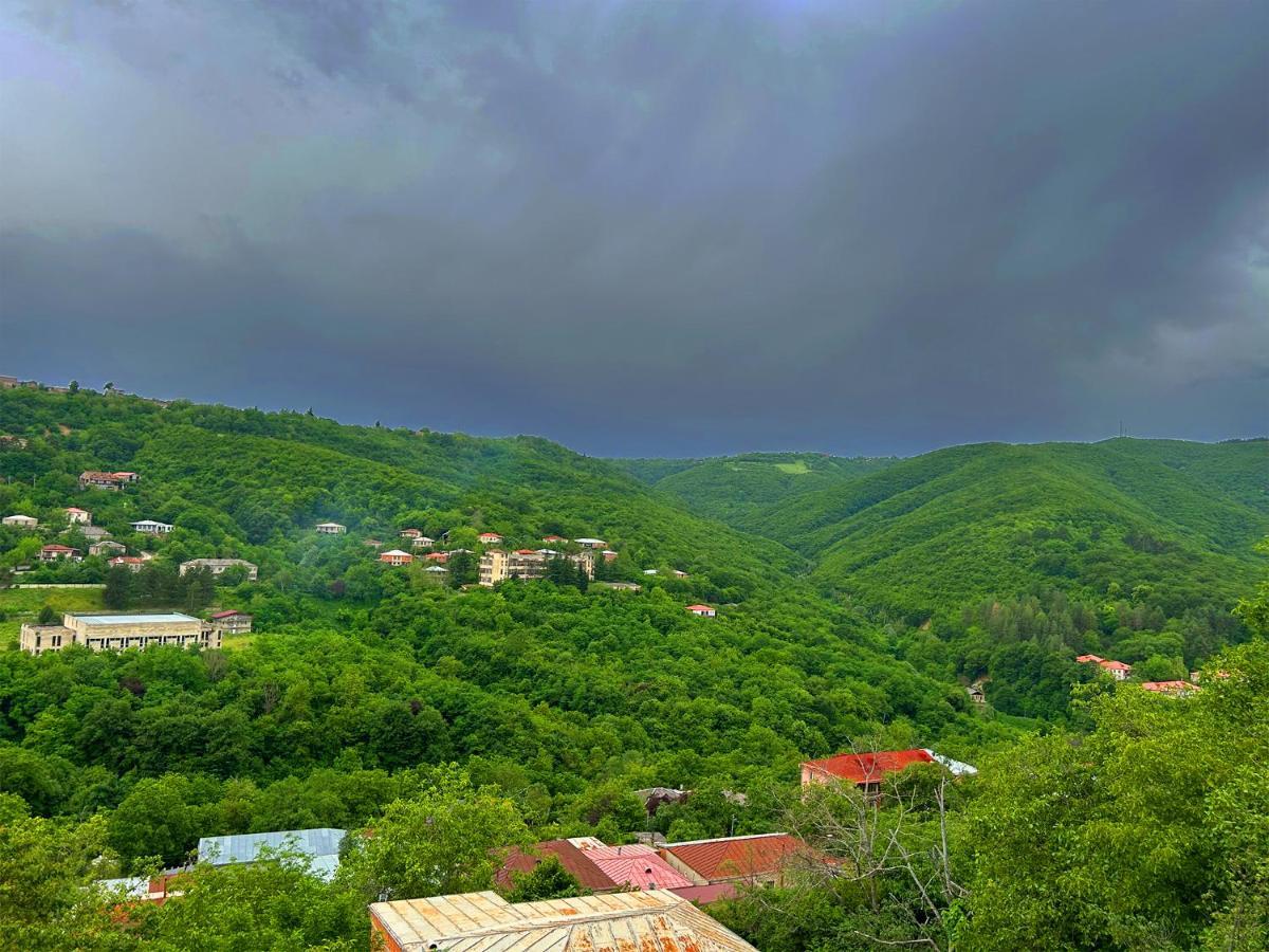 Hotel Vim In Sighnaghi Exterior photo