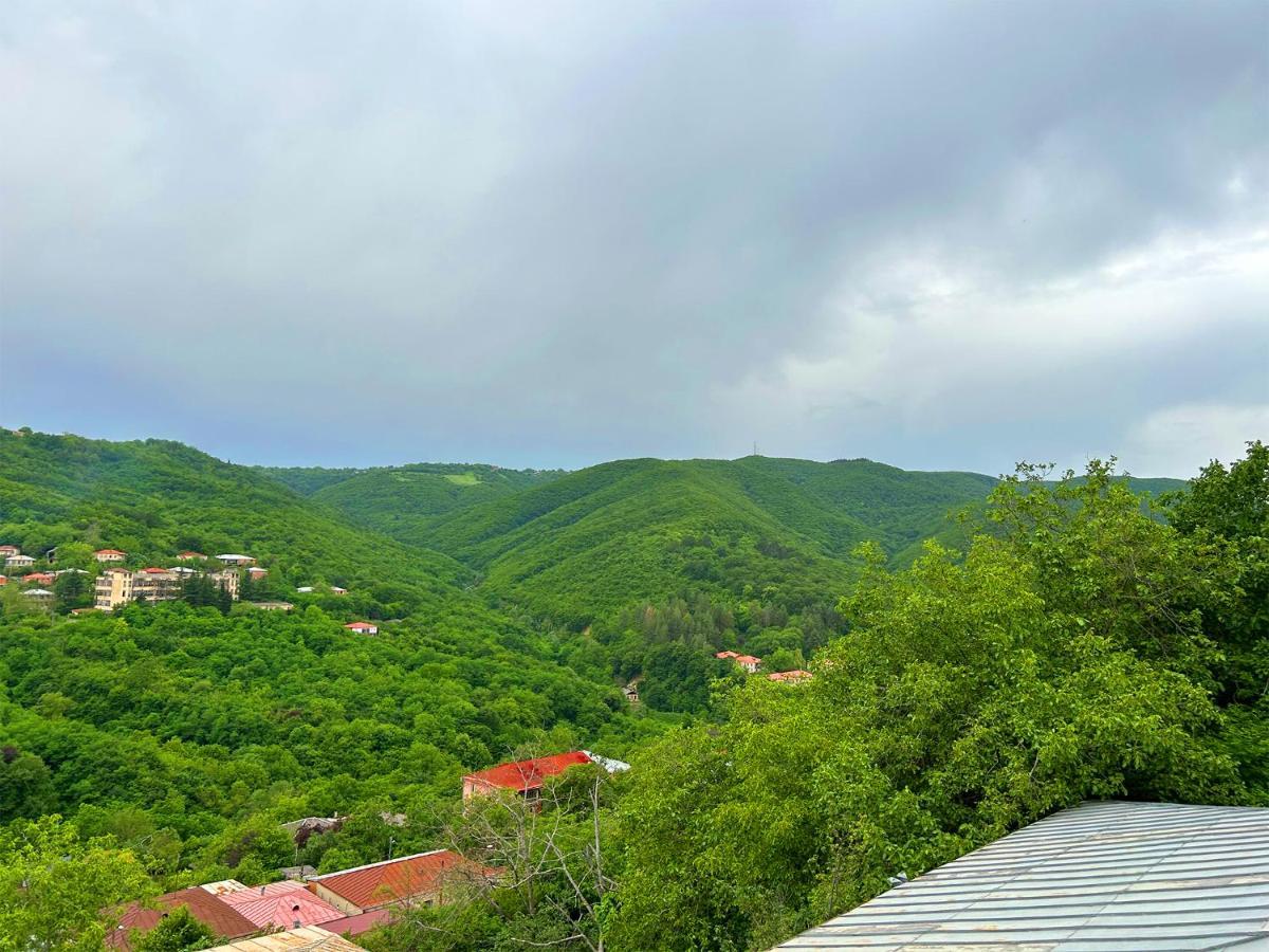 Hotel Vim In Sighnaghi Exterior photo