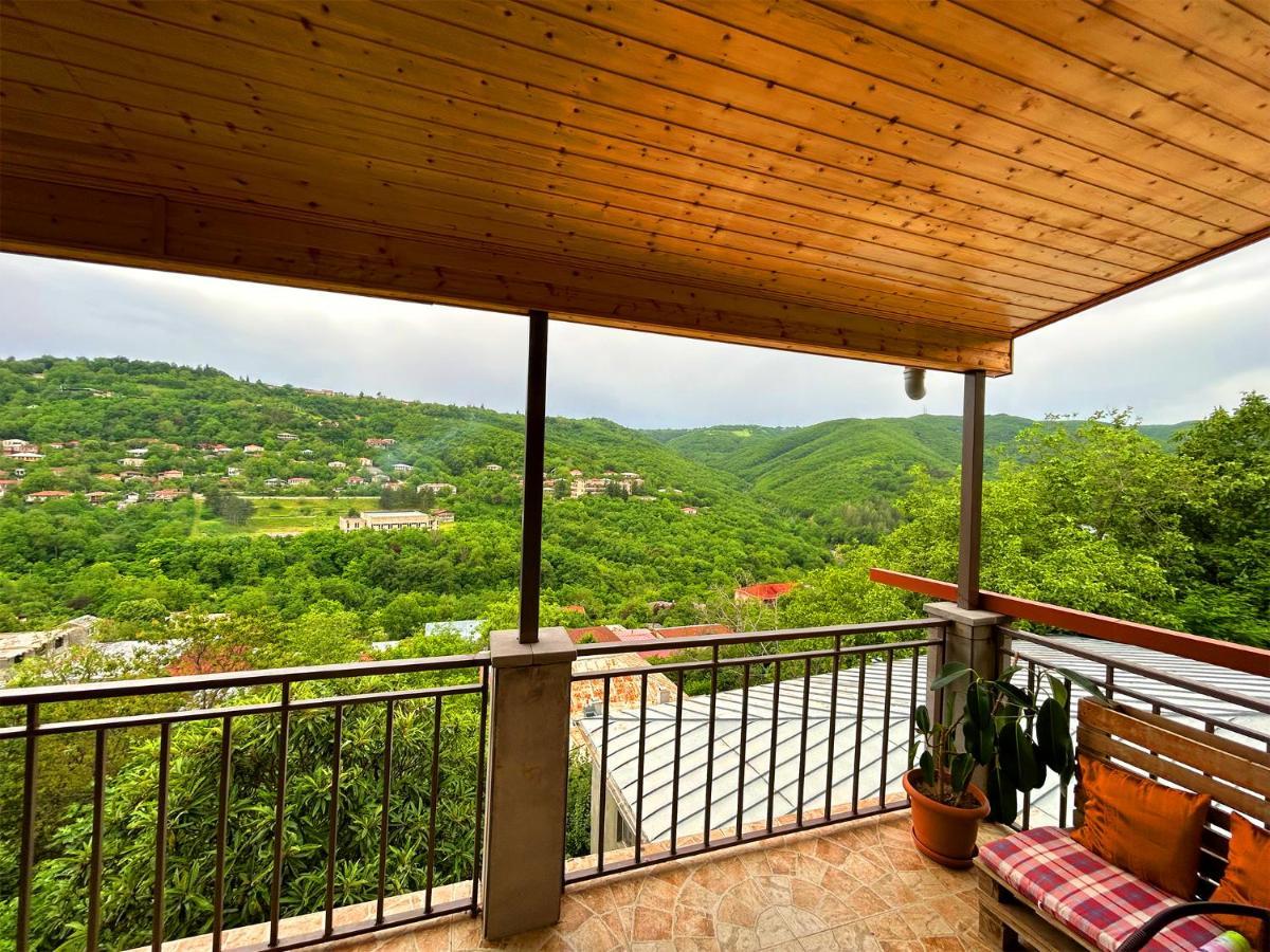 Hotel Vim In Sighnaghi Exterior photo